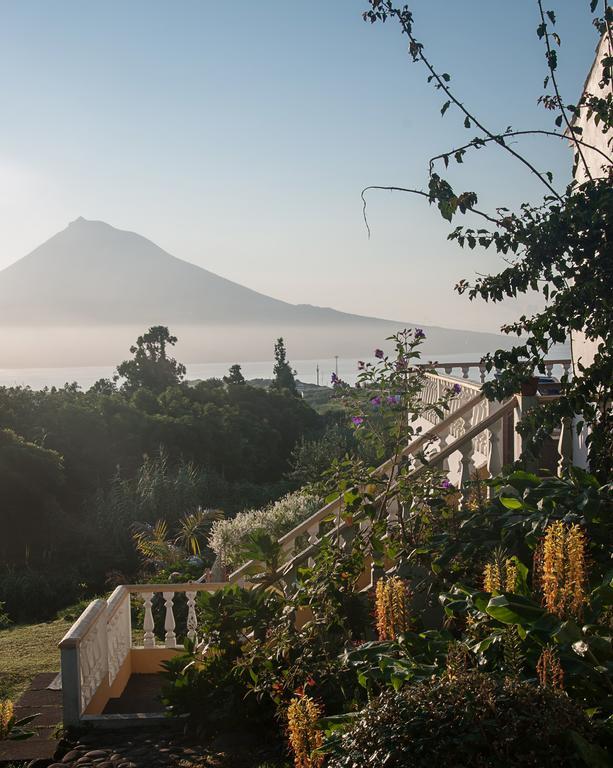 Vila Belgica Bed & Breakfast Орта Екстериор снимка